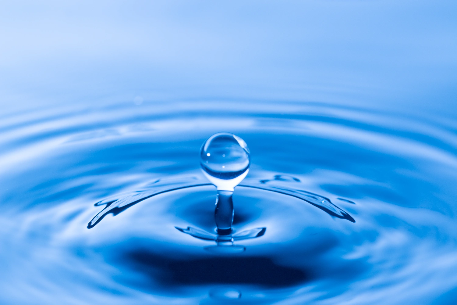 Bristol, TN 2024 Annual Water Quality Report: What’s Really in Your Drinking Water?